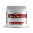 Palatinose - 300g - Vitafor